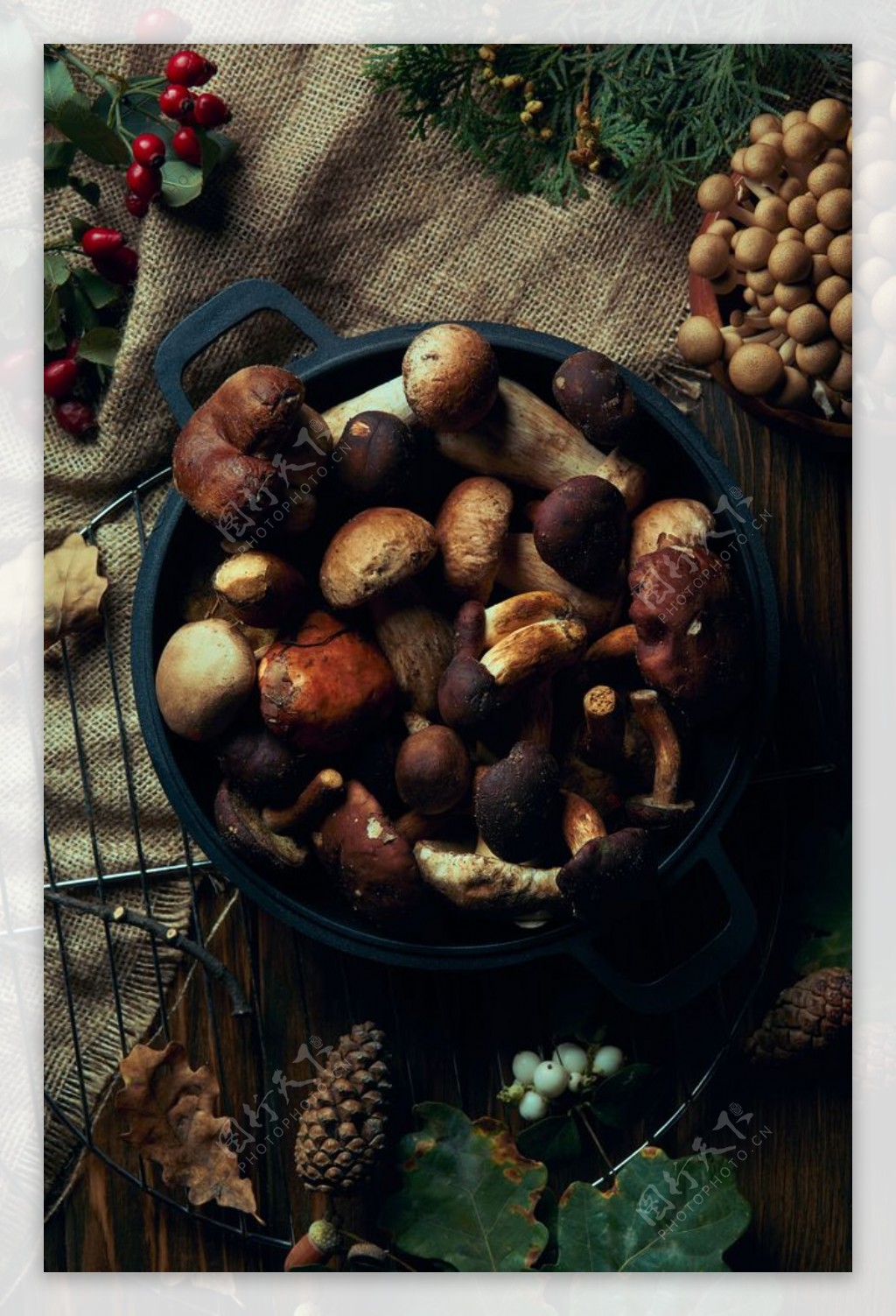 蘑菇香菇食材美食背景海报素材图片