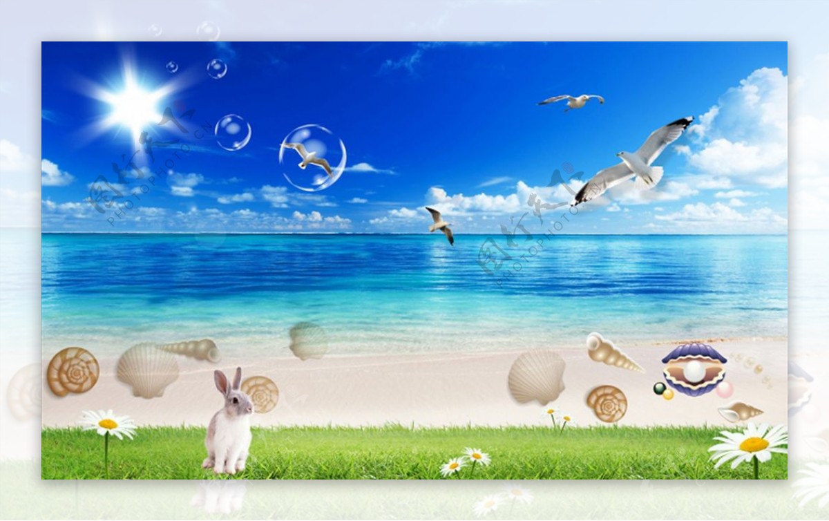 海边沙滩海鸥背景墙图片
