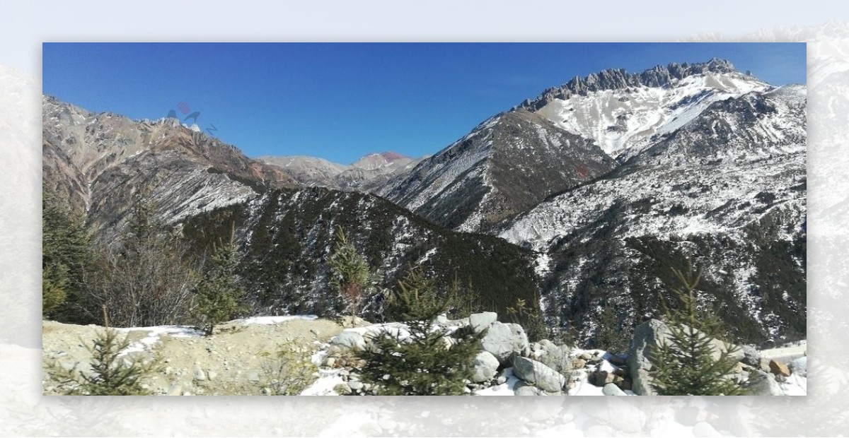 高山荒野雪地图片