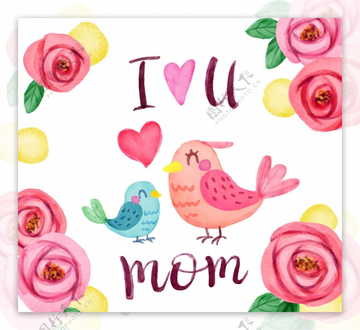 母亲节玫瑰花和鸟图片