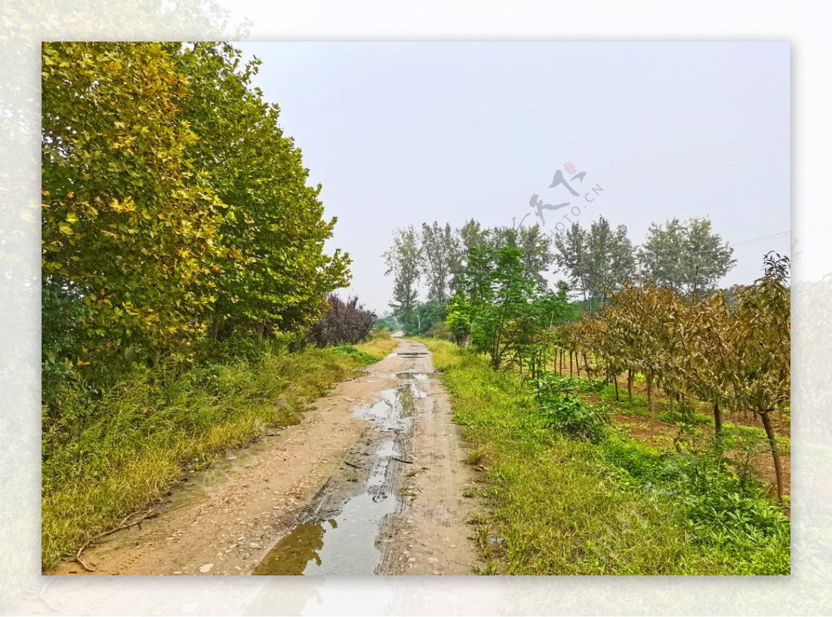 深秋时节的乡村风景图片