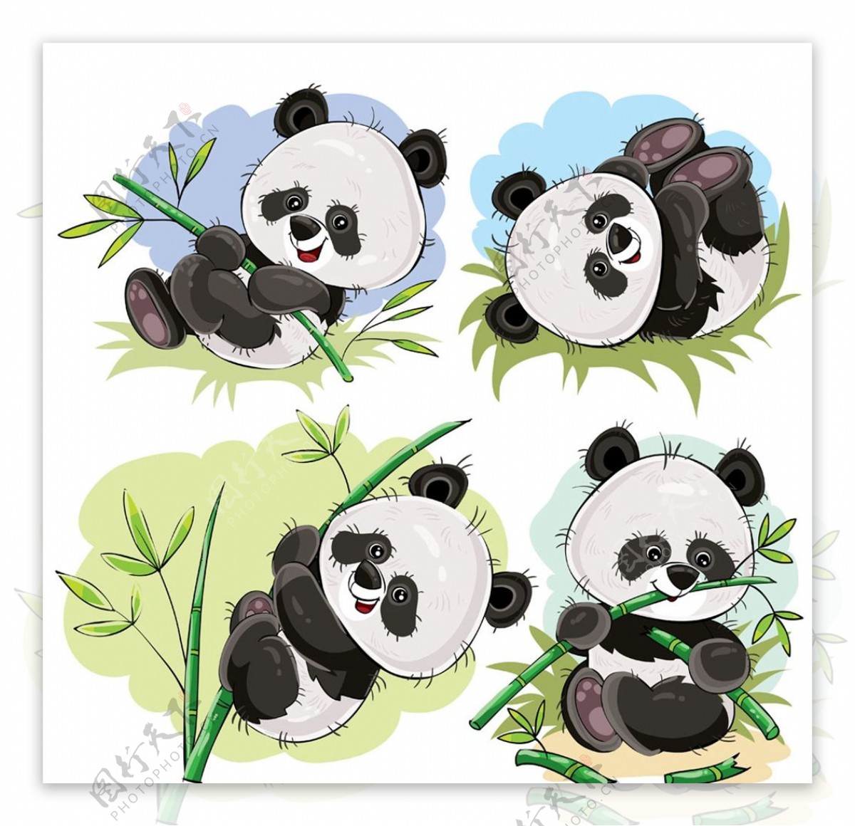 可爱熊猫和竹子图片