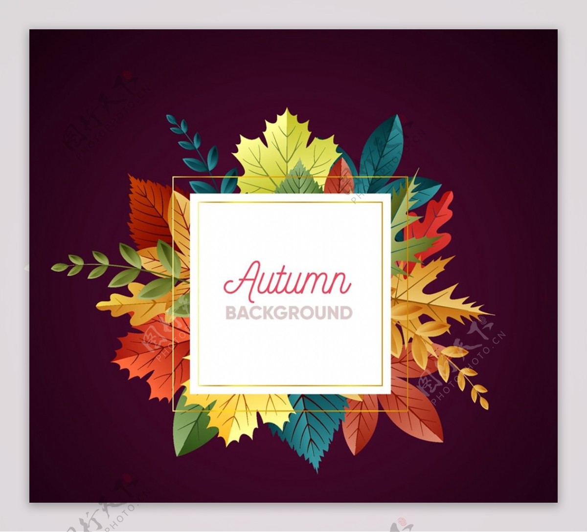 彩色秋季树叶背景图片