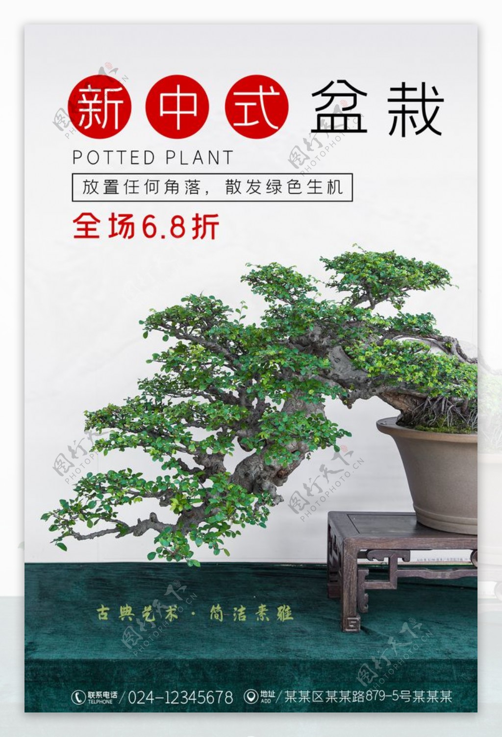 盆栽植物图片