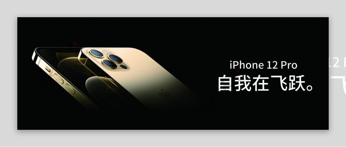 苹果12pro图片