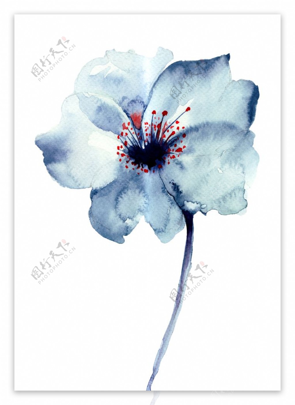 花朵花蕊水彩简约背景海报素材图片