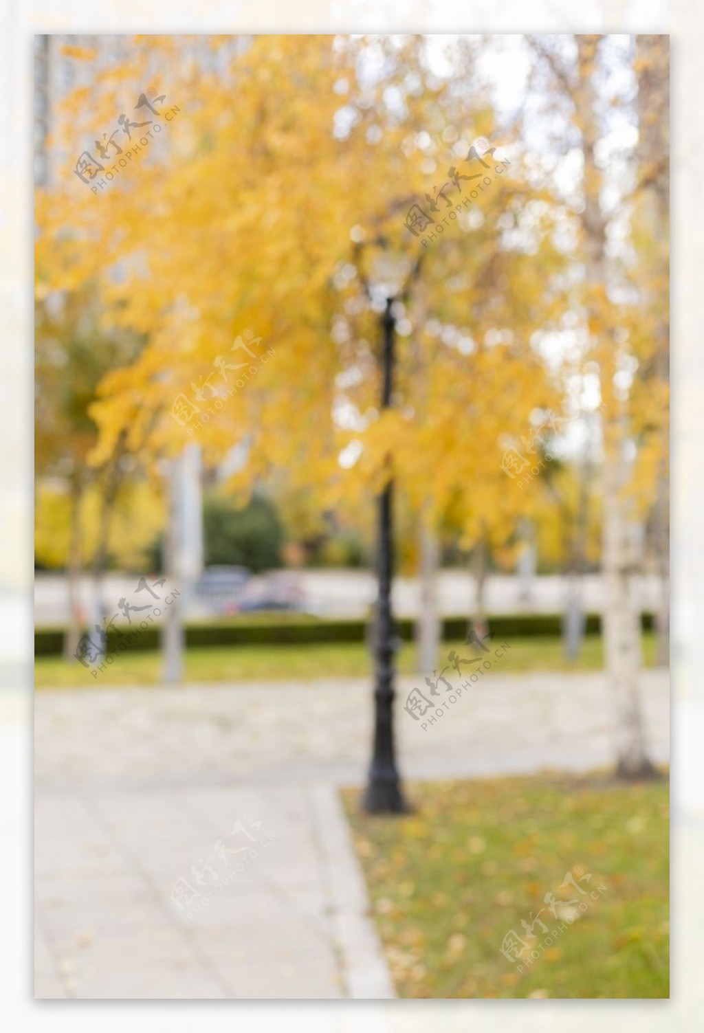秋季黄色虚化背景图片