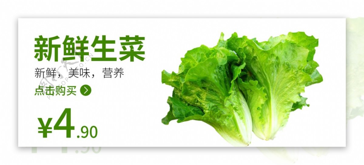 生菜食品海报蔬菜蔬菜海报图片