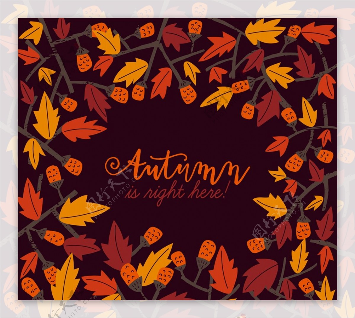 秋季树叶和果实框架图片