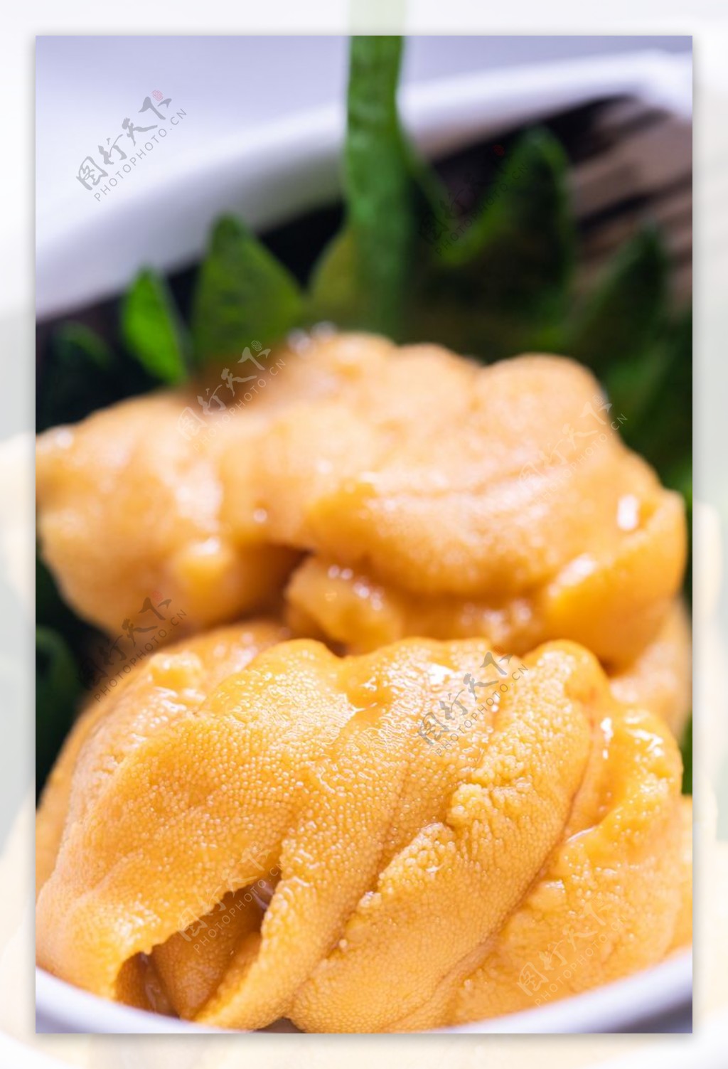 海胆美食食材背景海报素材图片