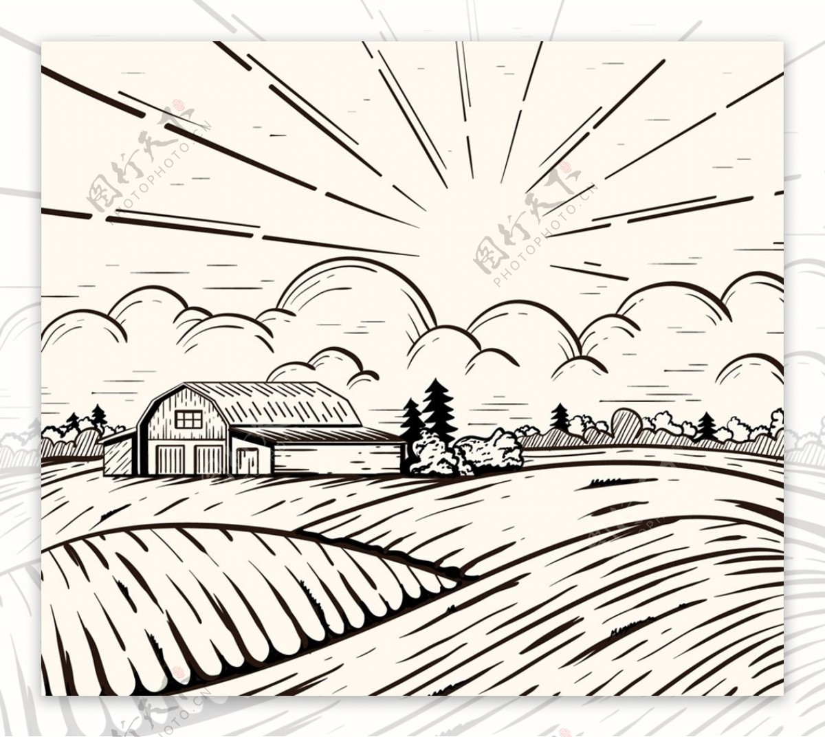 阳光下的农场风景图片