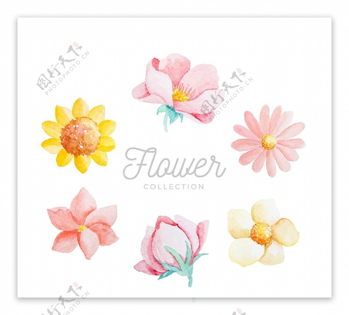 水彩绘花朵设计图片