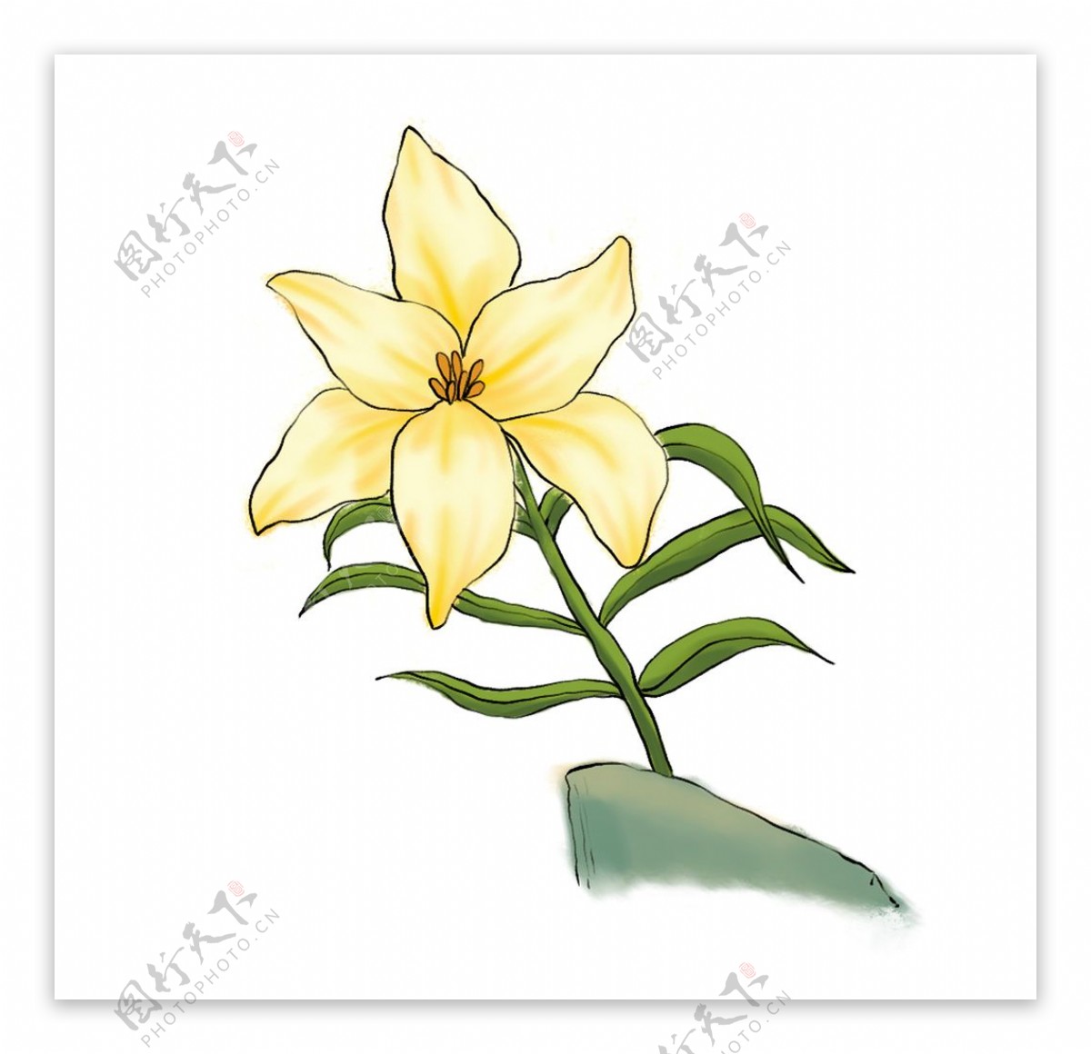 手绘黄花植物元素图片