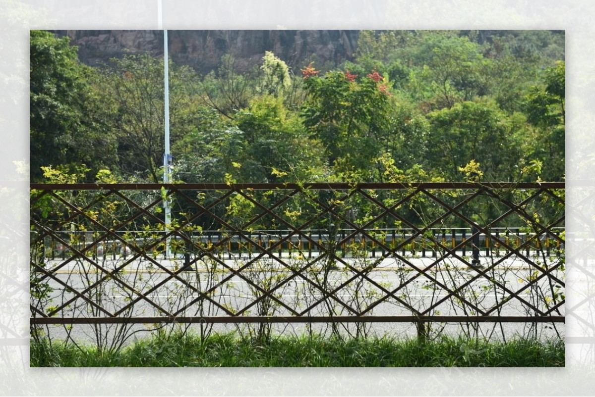 菱形格子护栏南山路取景图片