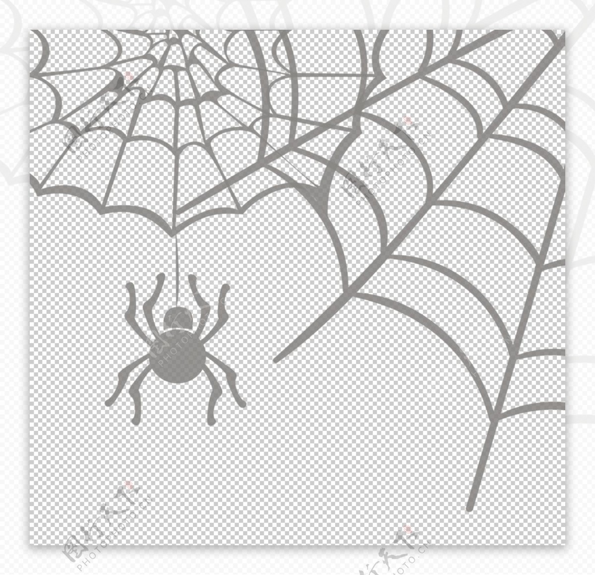 蜘蛛网图片