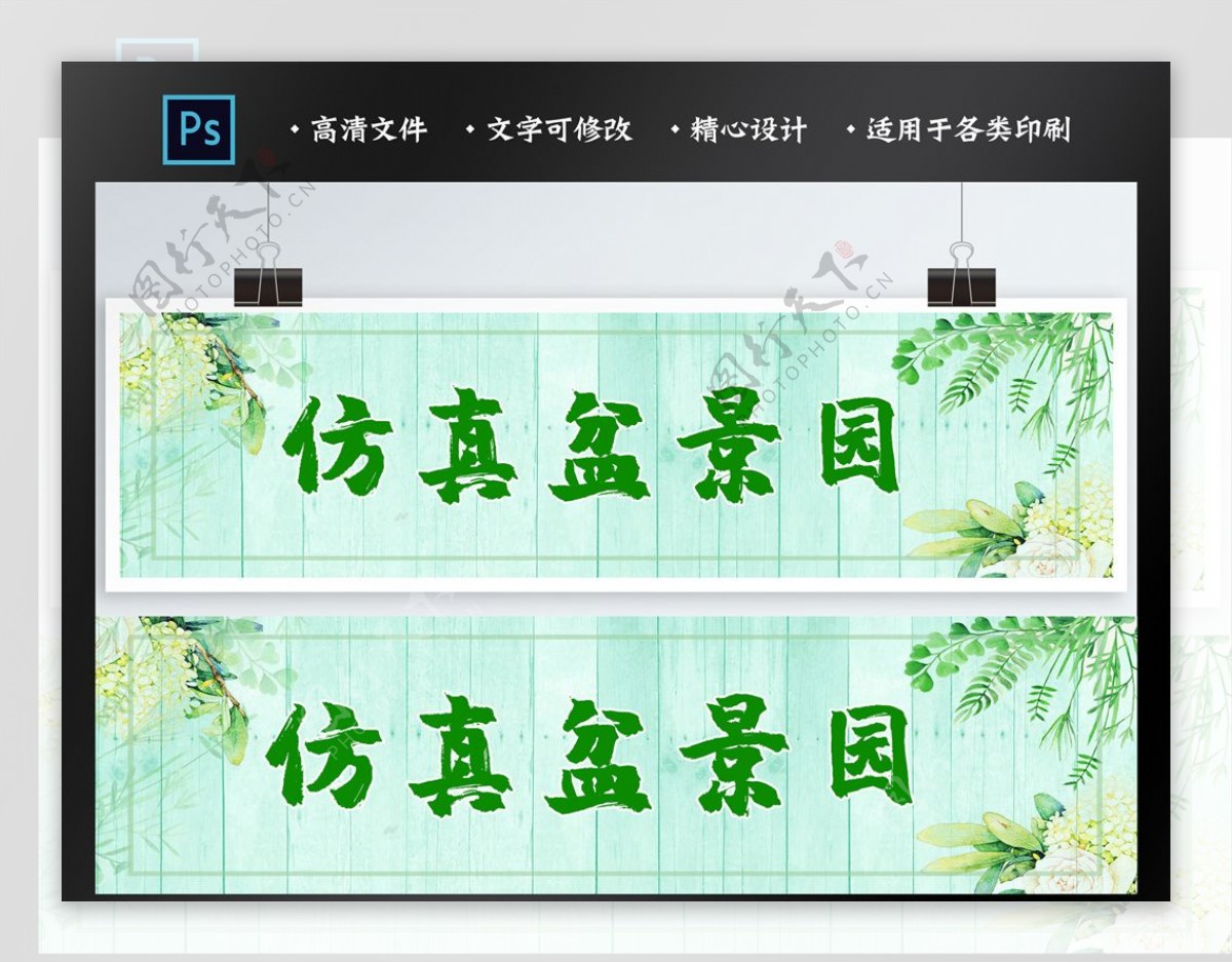 盆景banner图片