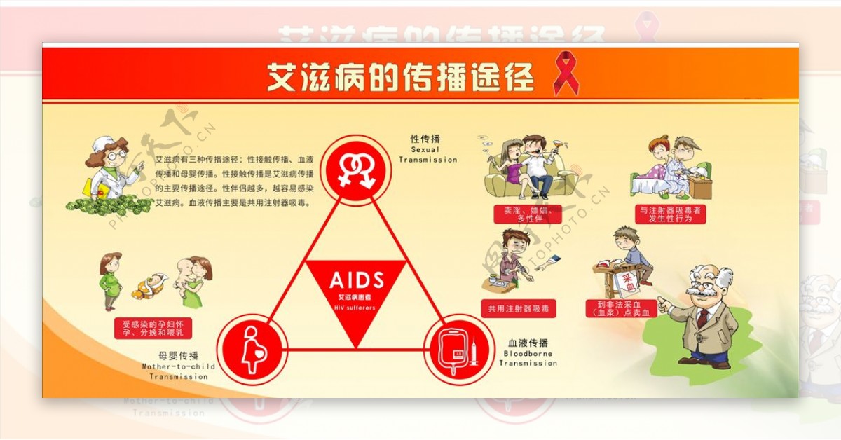 艾滋病的传播途径展板图片