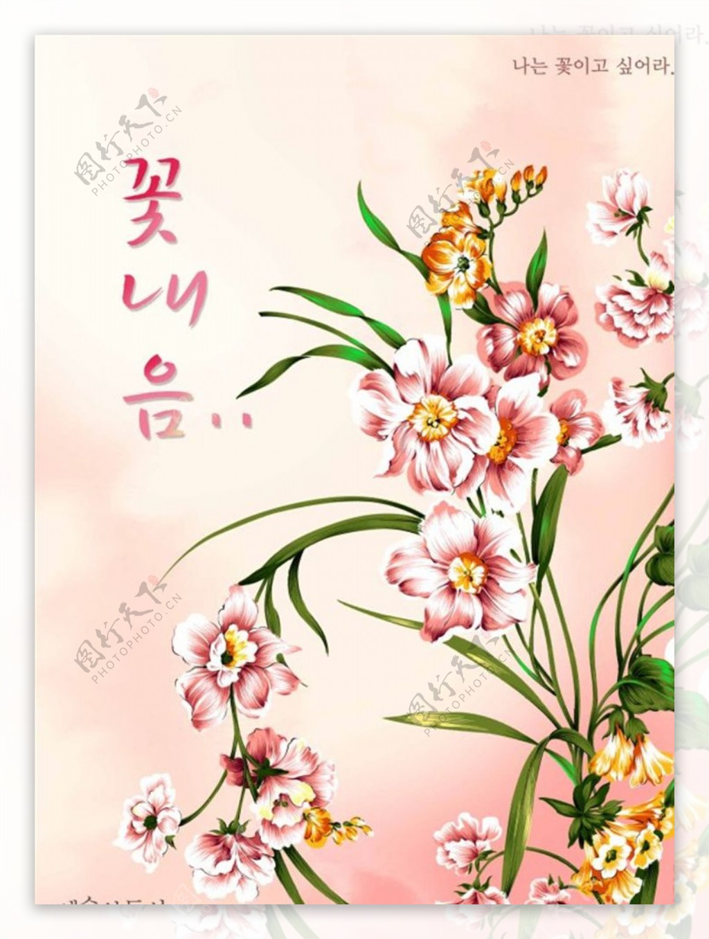韩国PSD花纹素材图片