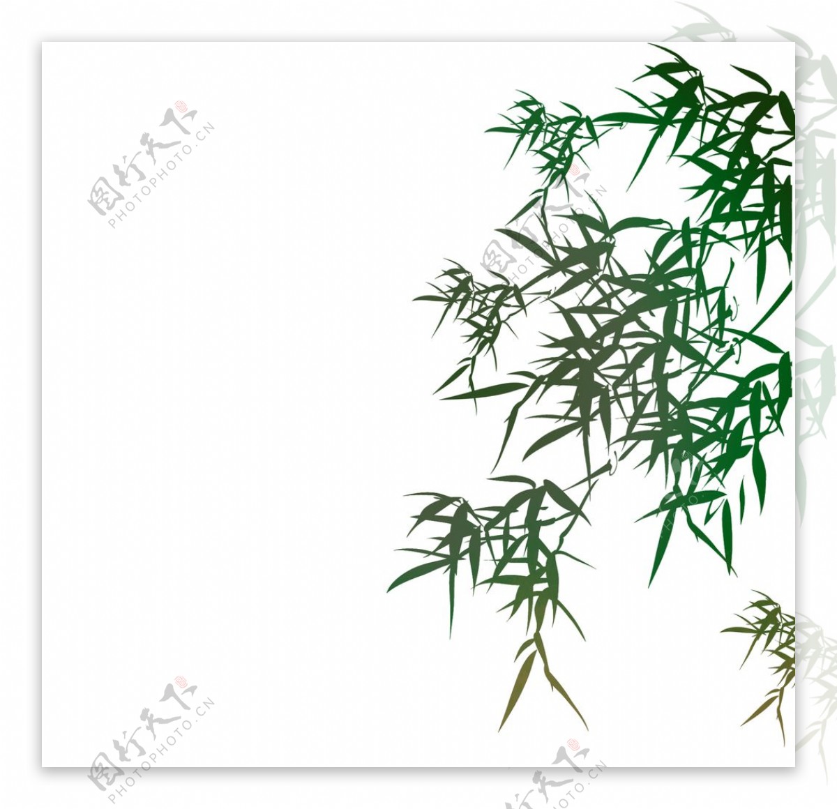 装饰植物竹叶图片