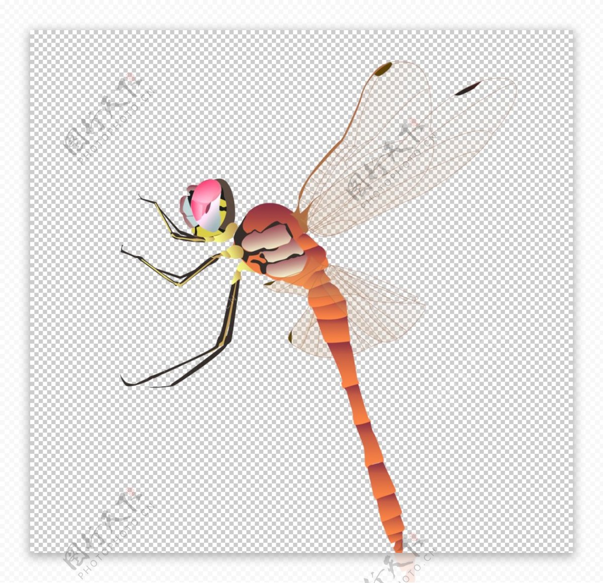 彩色卡通蜻蜓图片下载素材免费下载 - 觅知网