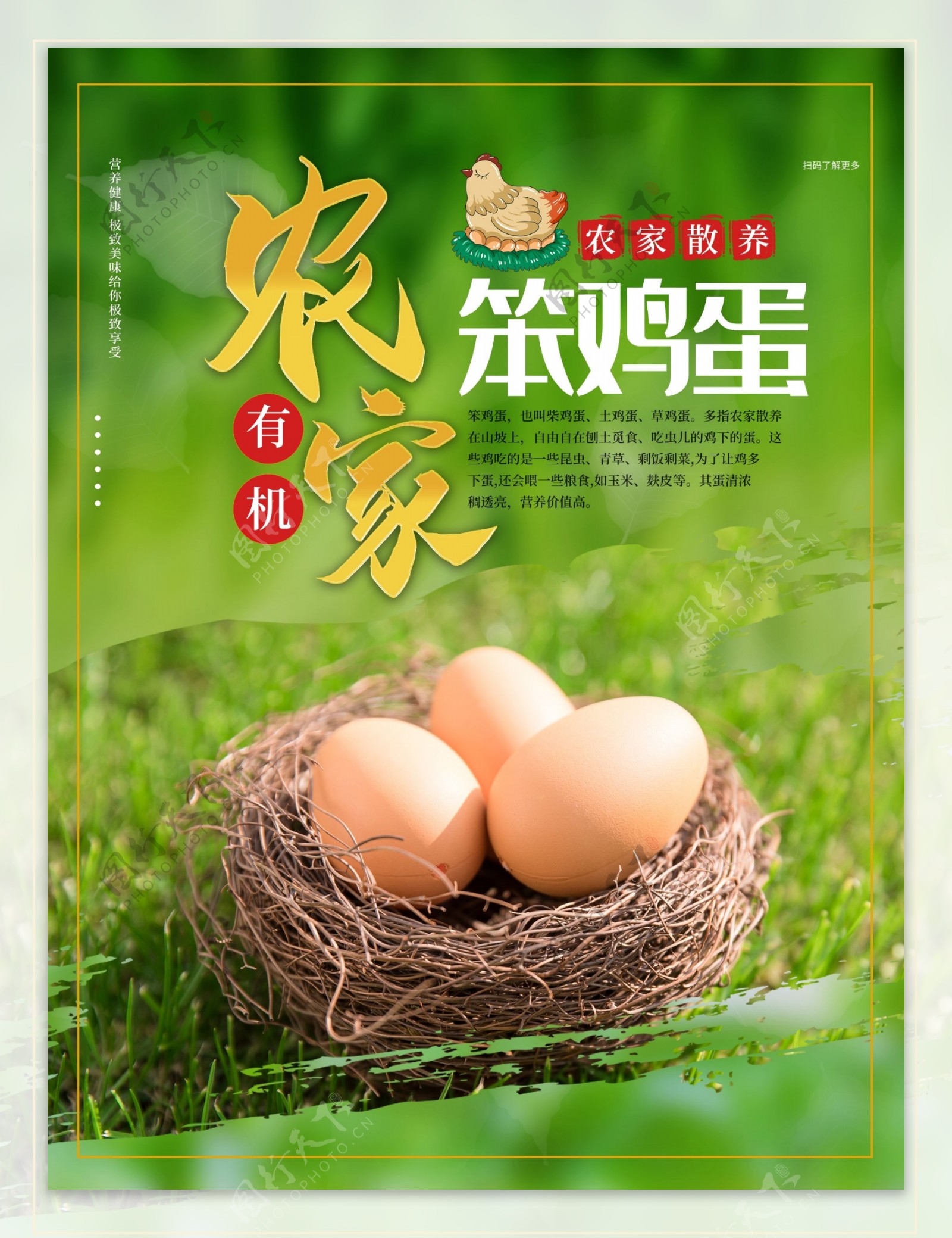 农家笨鸡蛋宣传促销海报图片