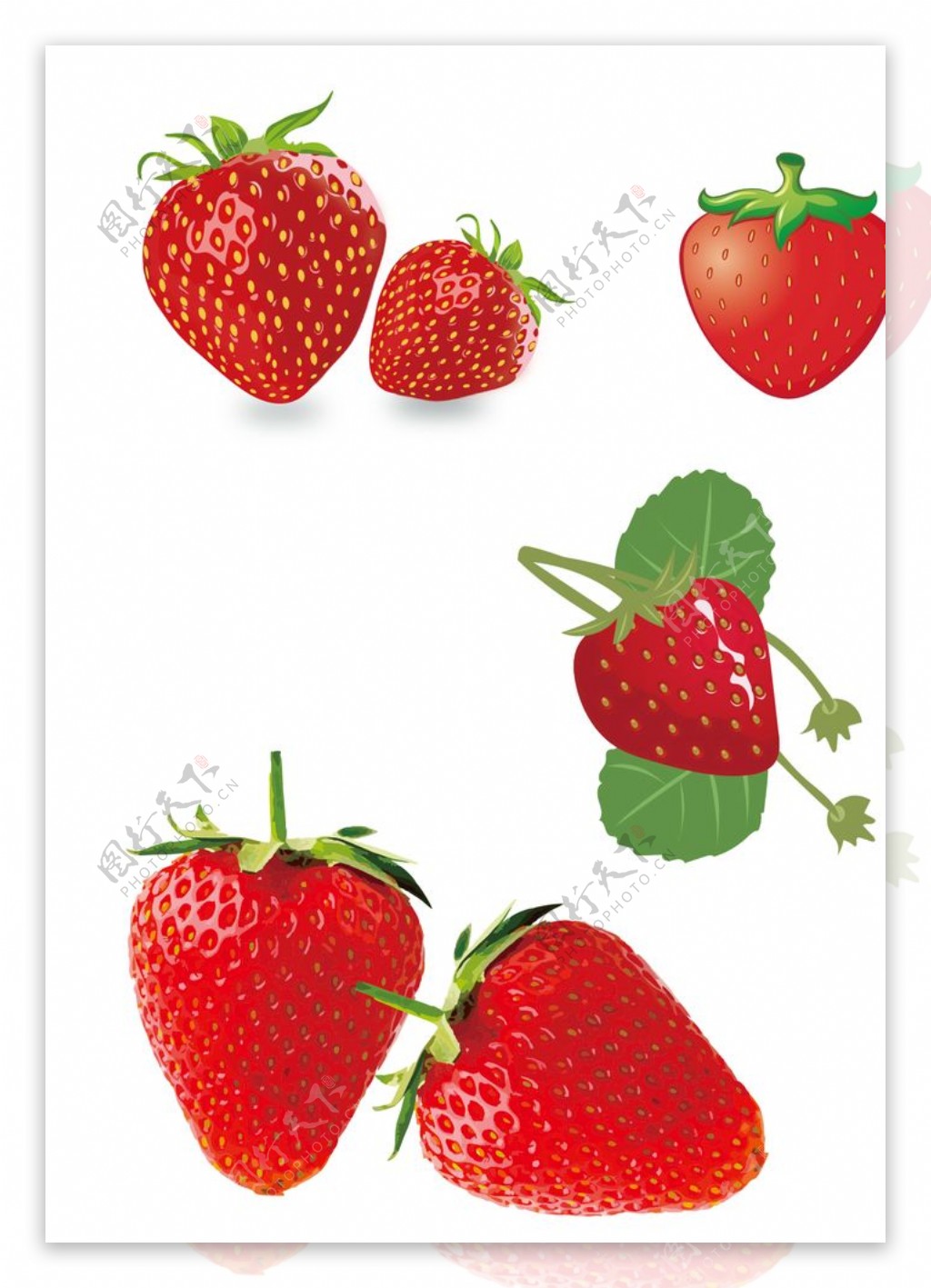 草莓手绘图片