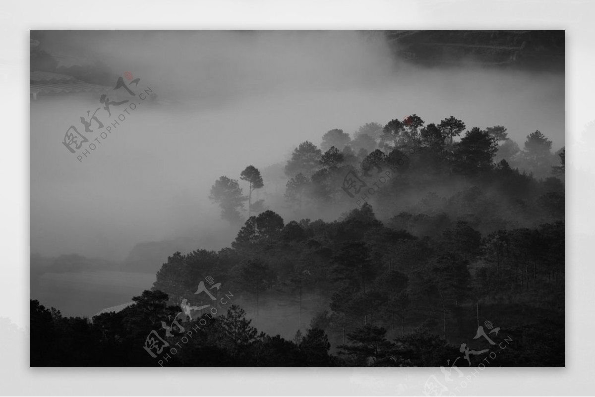 雾气山林图片