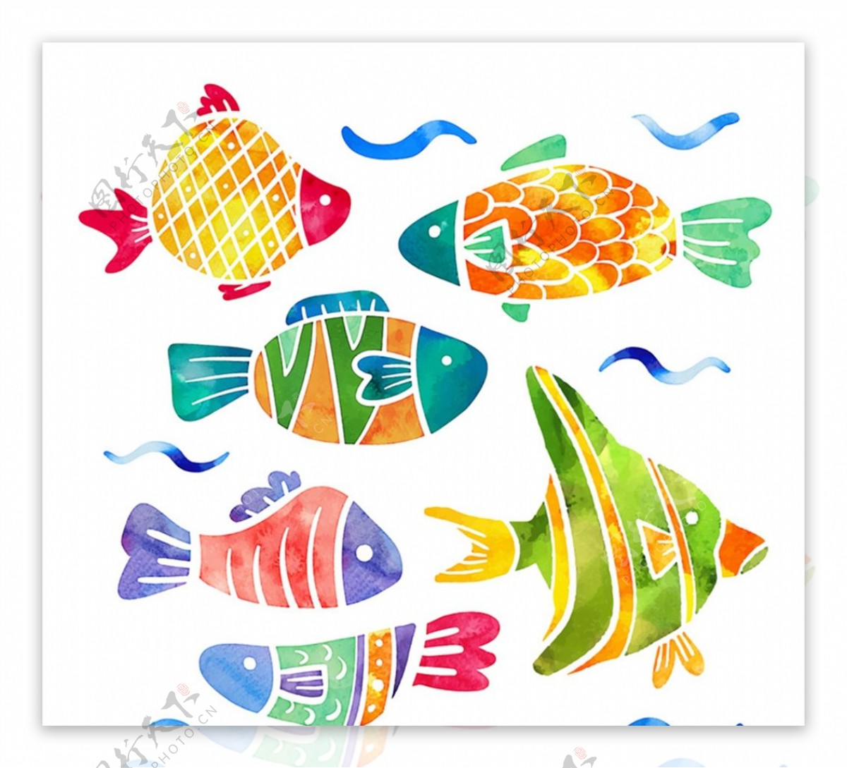 彩绘花纹鱼类图片