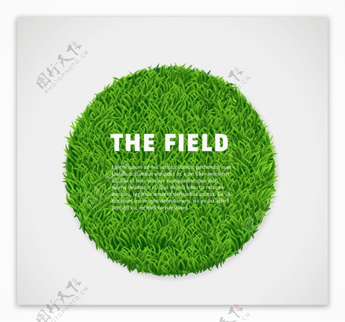 圆形绿色草坪图片