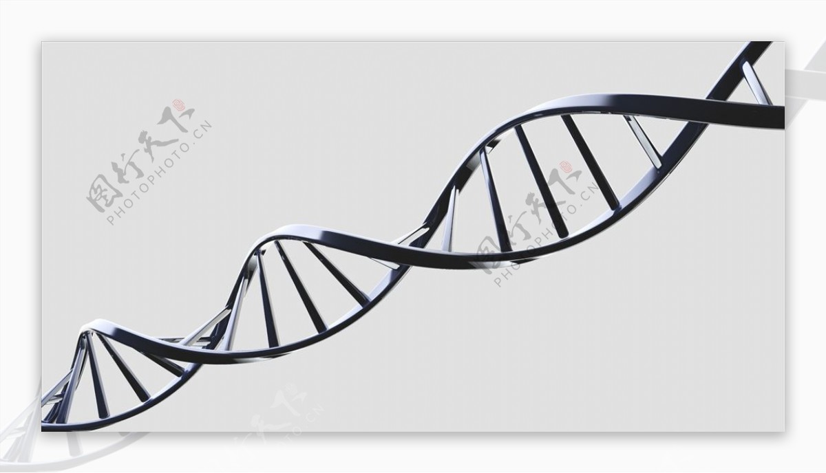 C4D模型DNA模型基因图片