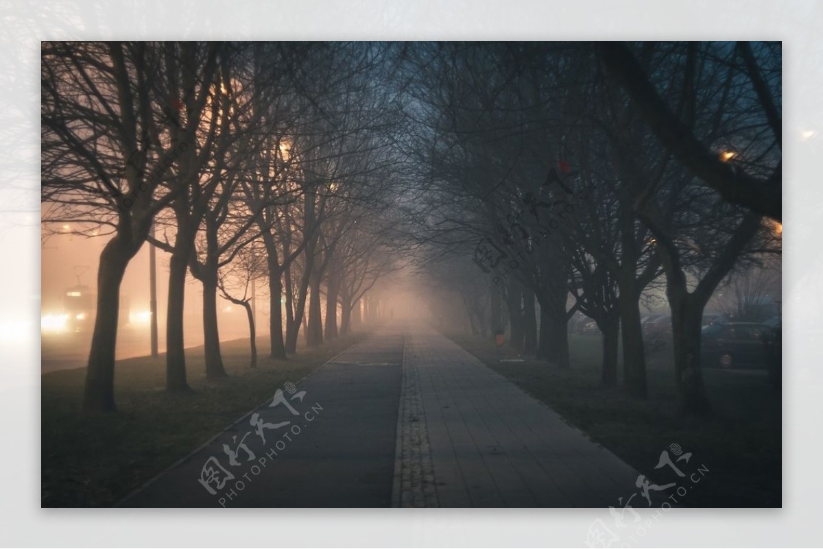 雾气弥漫的人行道图片