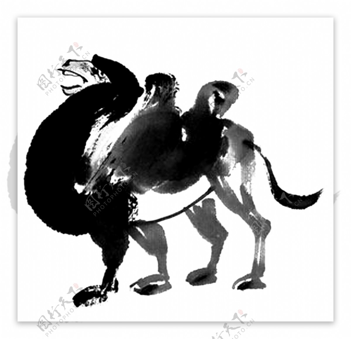 中国风水墨骆驼插画图片