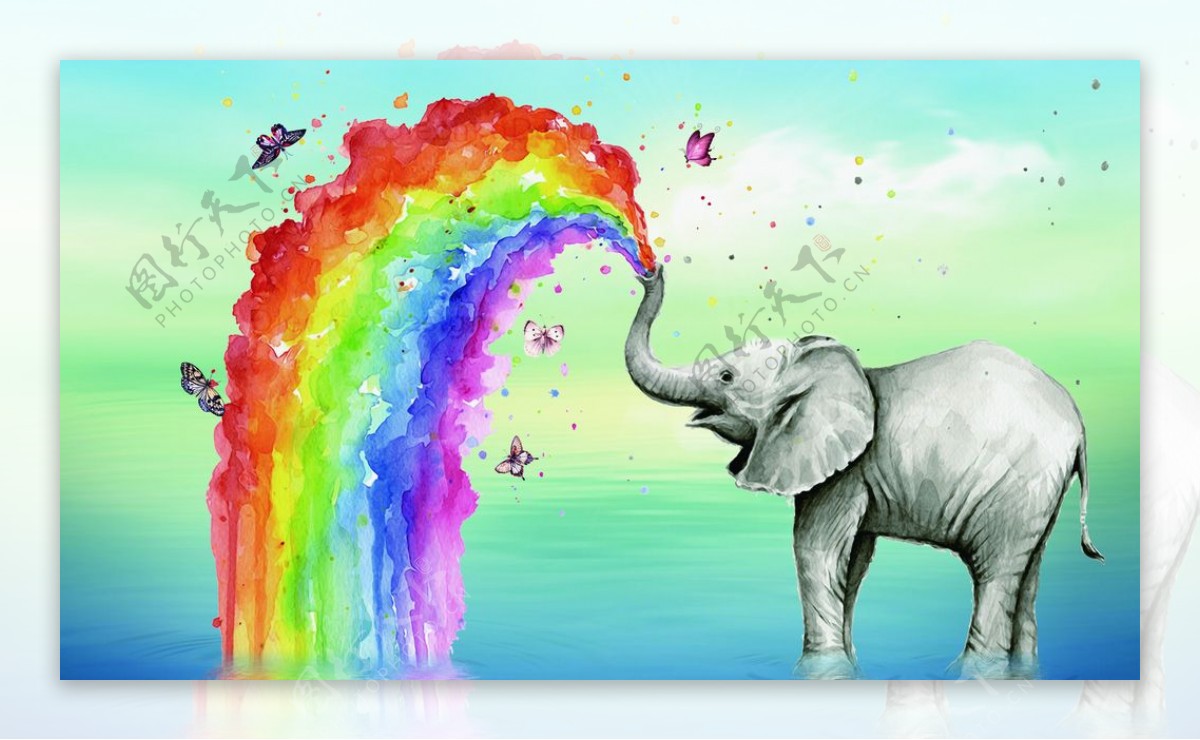 大象水中喷绘彩虹蝴蝶装饰背景图图片