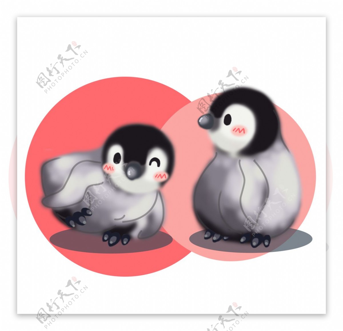 可爱企鹅插画图片