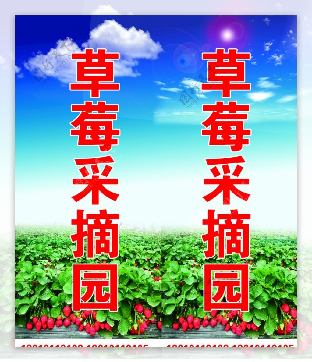 君山草莓丰收季：甜了游客 富了村民__君山新闻网