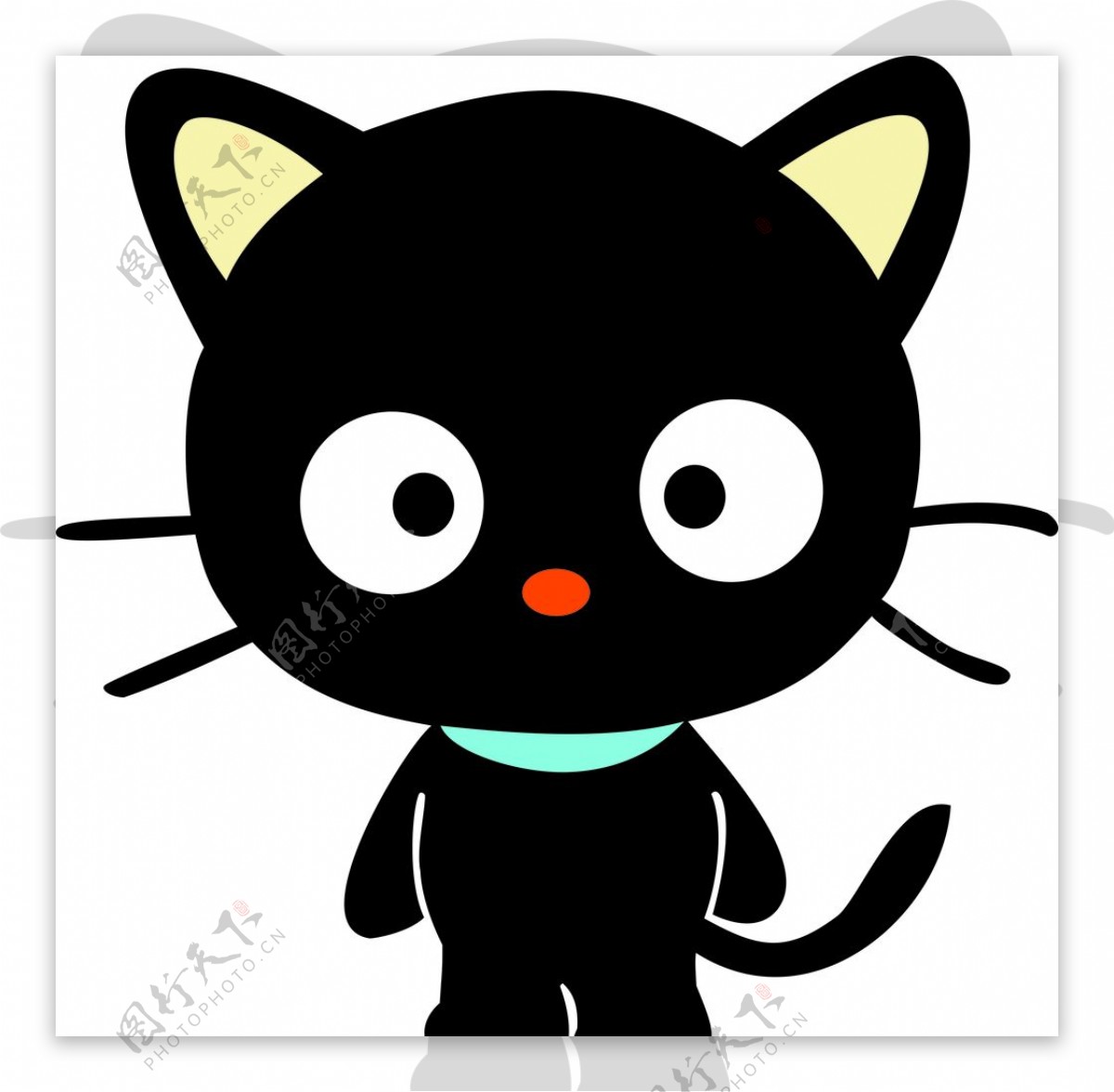 黑色的小猫图片