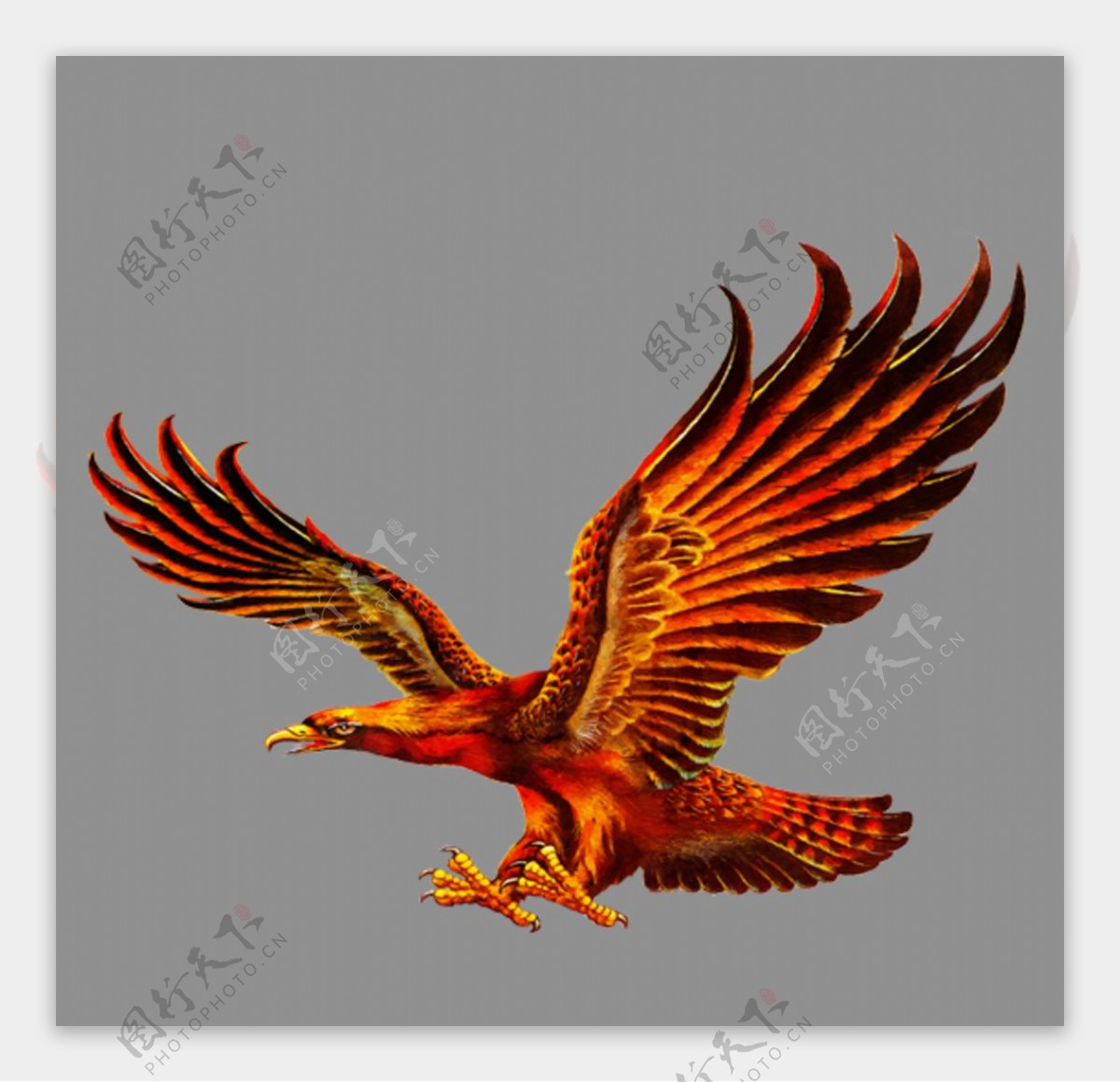 一只鹰的卡通风格logo设计题目PNG素材