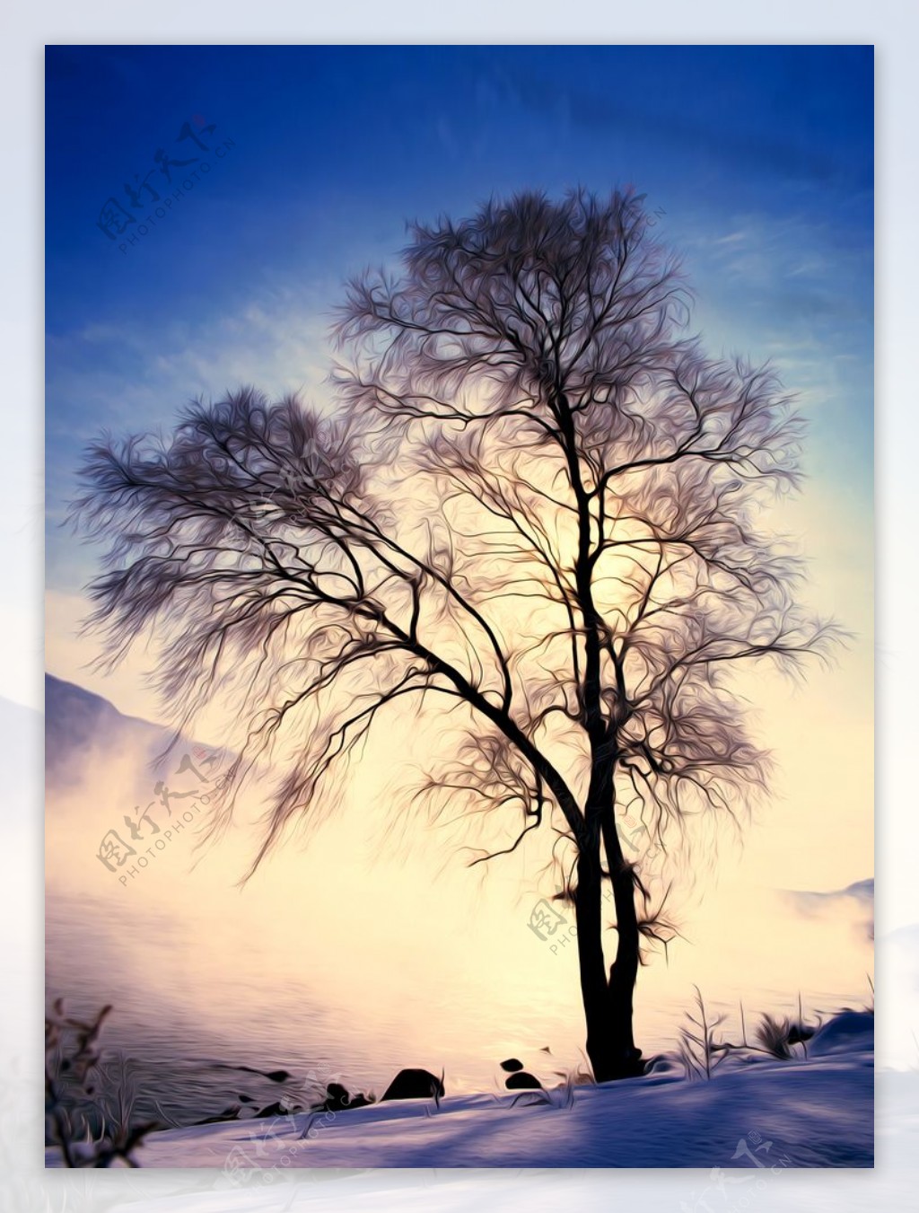 冬树风景油画图片