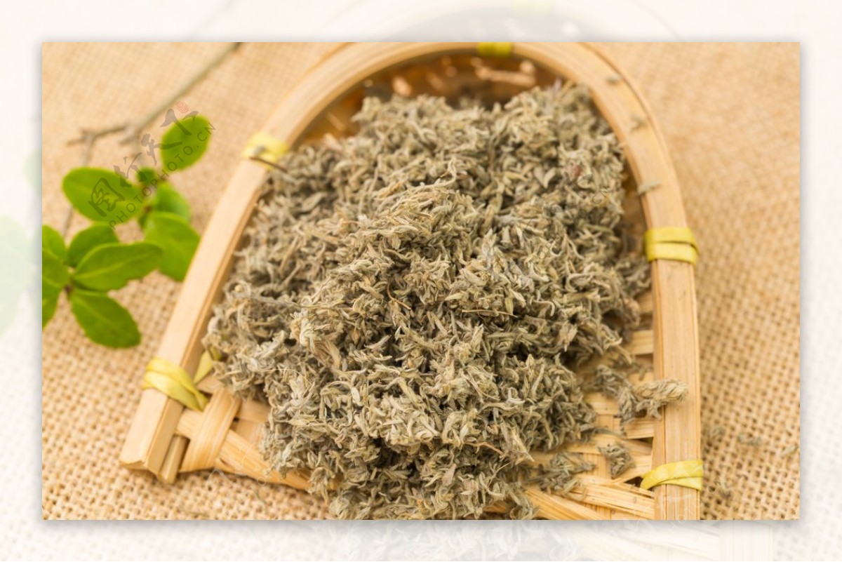 茵陈 绵茵陈 Yin Chen / Mian Yin Chen / Herba Artemisiae Scopariae / Virgate ...