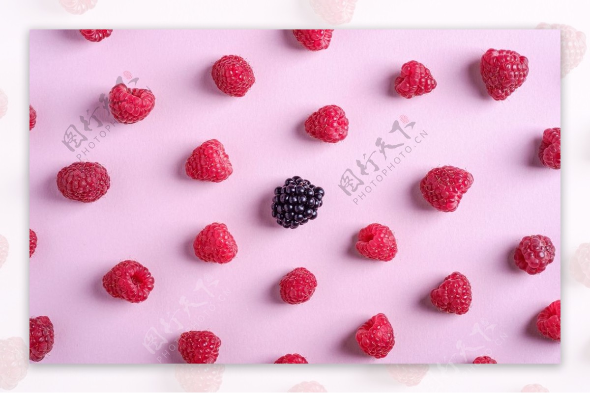 红莓图片