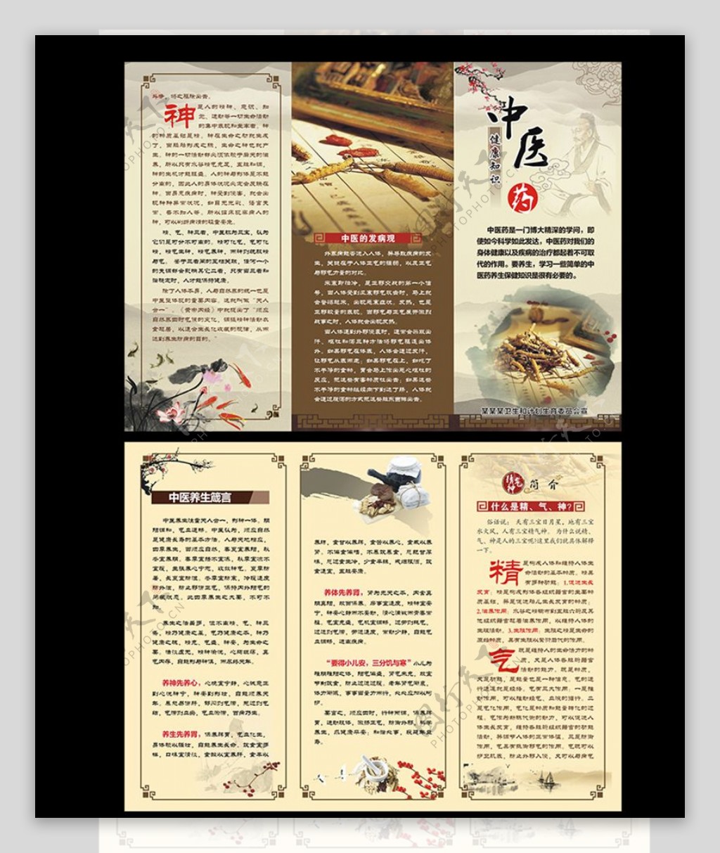 中医健康知识三折页图片
