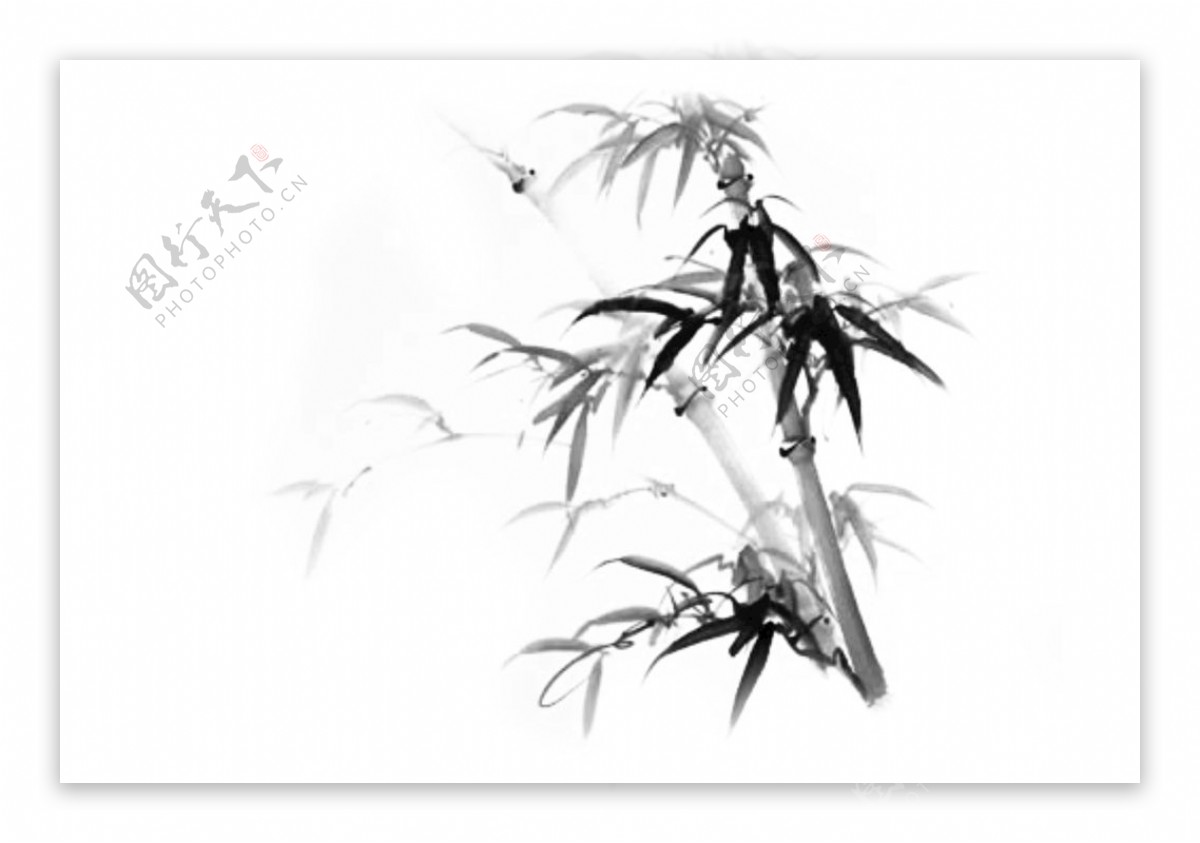 高清中国风水墨竹子图片