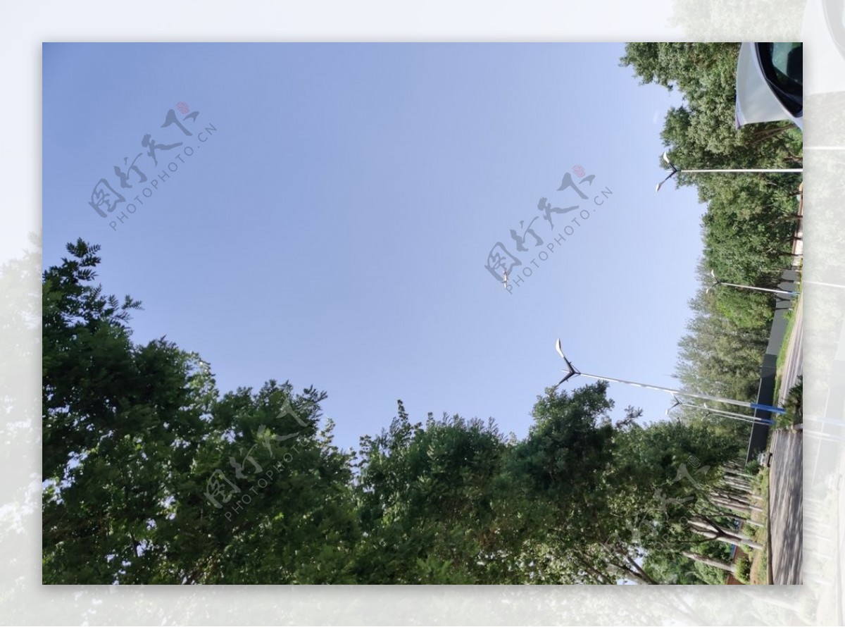 天空空镜绿树环绕图片