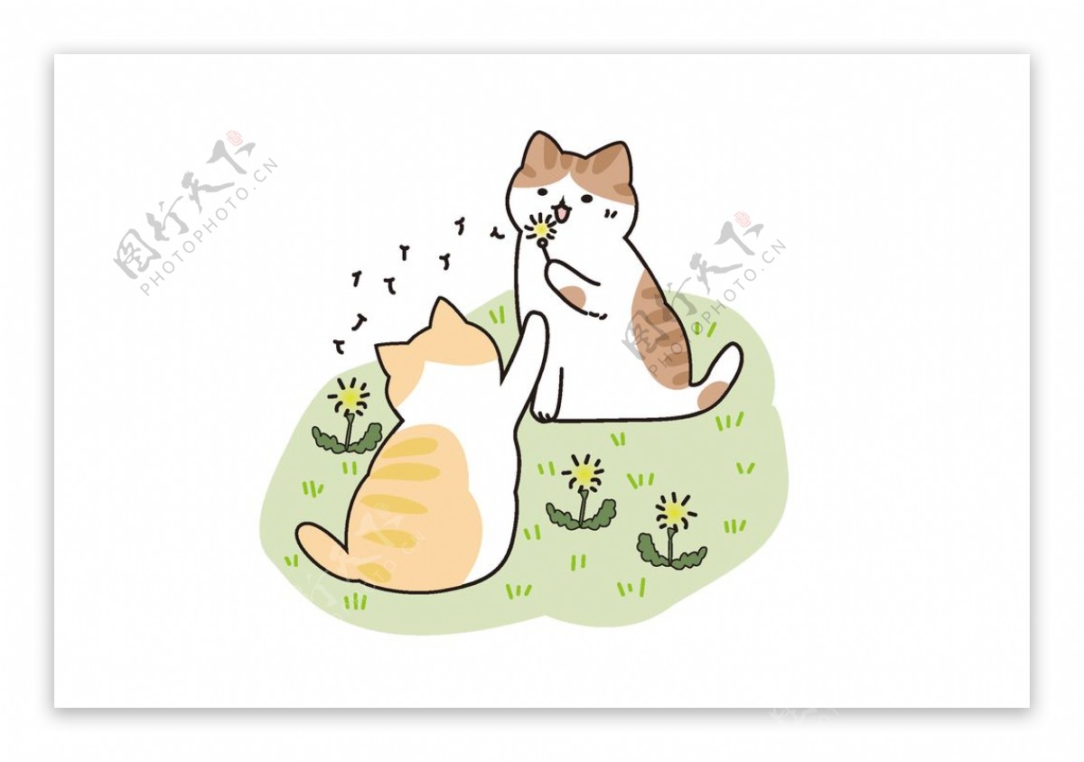 草地上玩耍的两只小猫图片