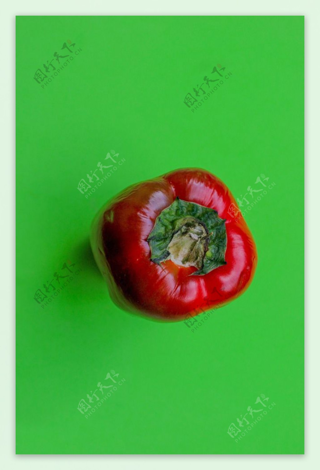 柿子椒图片