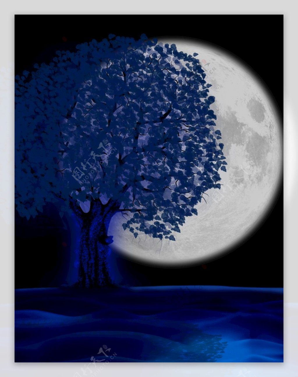 月下树图片